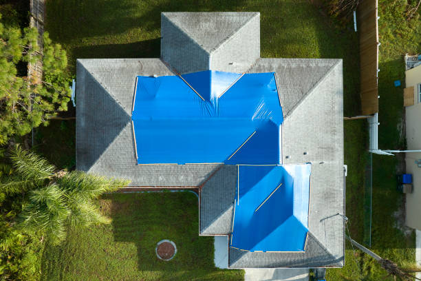 Best Sheet Metal Roofing  in Skippers Corner, NC