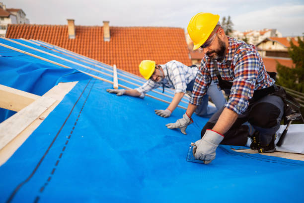 Best Green or Eco-Friendly Roofing Solutions  in Skippers Corner, NC