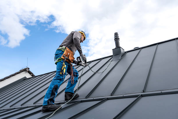 Best Chimney Flashing Repair  in Skippers Corner, NC