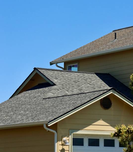 Best Roof Leak Repair  in Skippers Corner, NC