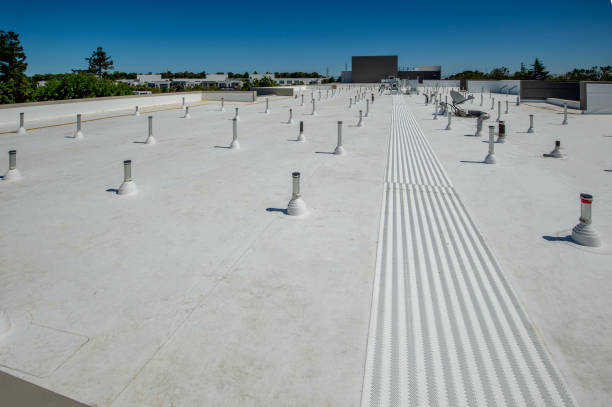Best Sheet Metal Roofing  in Skippers Corner, NC
